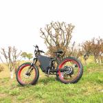 Colourful TFT 750 Display E Fat Bike With 7 Speed Shimano Shifter