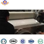 Decorative Household Plastic Designer Lace Making Twin Screw Extruder Machine