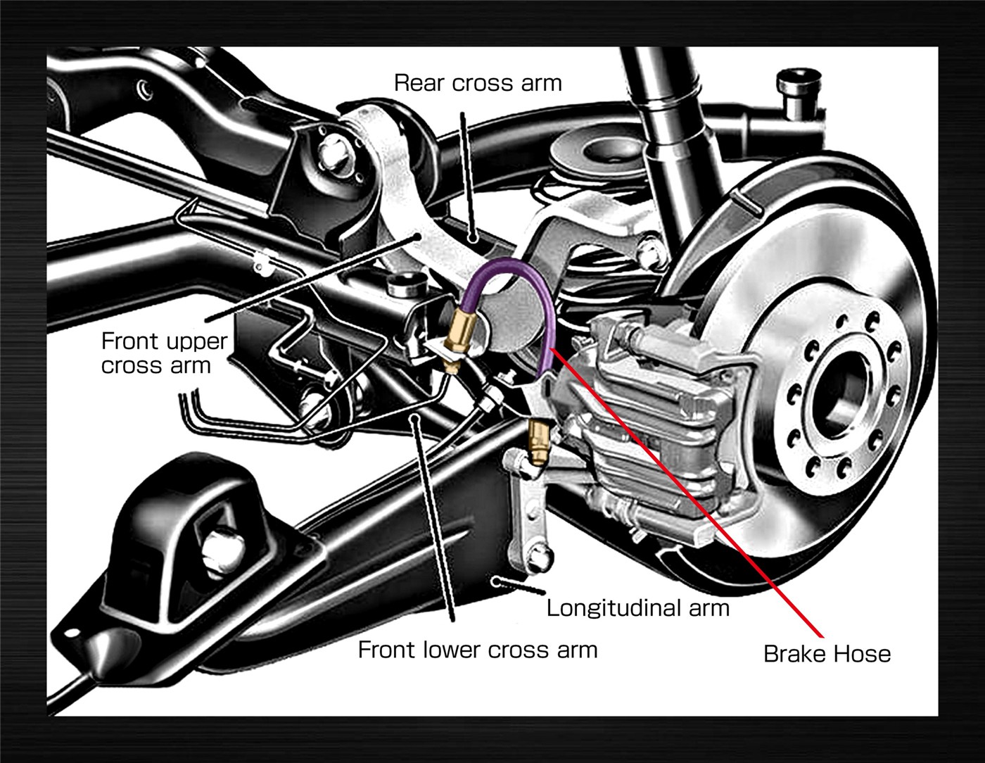 MASUMA-BRAKE HOSE-2