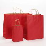 Takeout Packaging Paper Bag Logo Printing Varnishing Kraft Paper Bag TUV