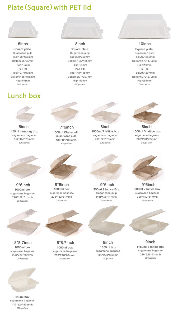 Sugarcane Bagasse Sushi Biodegradable Take Away Box Disposable For Restaurant