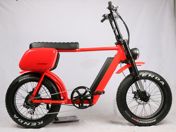 48V 750W New design 2022 Electric Fat Tire Bike , Electric Fat Tire Bicycle EN15194