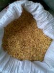 Granule Dried Chilli Seeds For Cooking Pungent Chili Flavor