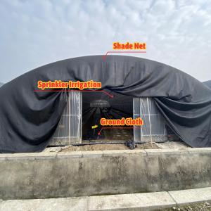 Wholesale Galvanized Steel Frame Mushroom Growing Shade Net Greenhouse for Agricultural Cultivation from china suppliers