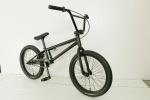 20 Inch BMX Freestyle Bicycle