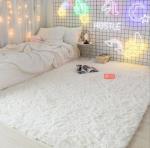 Northern European plush Blanket Bedroom Floor Carpets