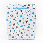 Laides clothes garment art paper bag soft shoes packaging bags logo printed