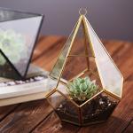 Hanging Flower Glass Homeware Succulent Plant Black Gold Geometric Glass