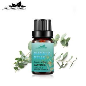 Wholesale OEM Eucalyptus Oil Aromatherapy USDA 100% Pure Eucalyptus Essential Oil from china suppliers