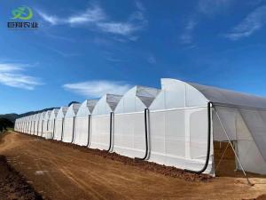 Wholesale Green Leaves Vegetables Film PC Sheet Agricultural Multi-Span Greenhouses for Hydroponics from china suppliers