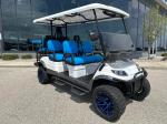 China Golf car 48V5KW fast speed 25mph strong power supply long mileage