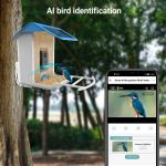Wildlife Wifi Camera AI Recognize Bird Species Smart Bird Feeder for Outdoor