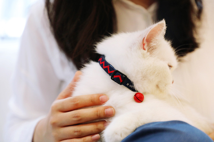 Woven Safe Cat Collars Personalised Quick Release Cat Collar Soft Buckle