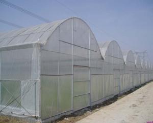 Wholesale Multi-Span Tunnel Greenhouse from china suppliers