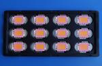 30W 45 mil Full Color RGB High Power LED with R 620nm - 630nm , G 520nm - 530nm
