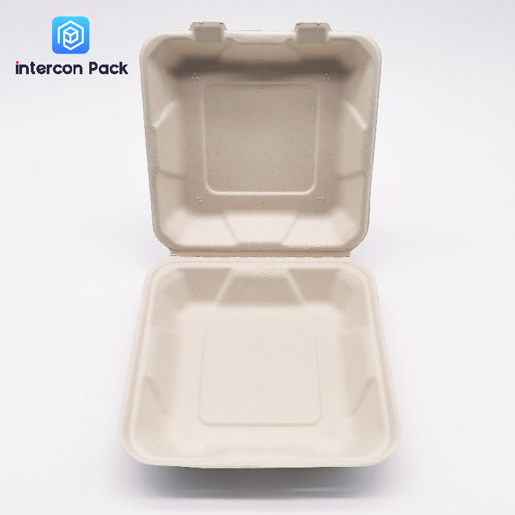 Sugarcane Pulp Bagasse Food Trays Disposable Rectangle Square shape