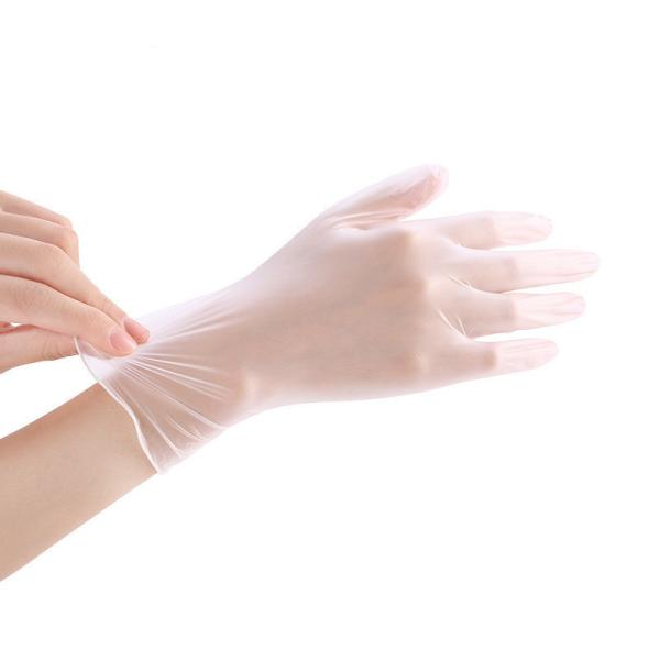 Surgical Medical Examination Gloves PVC Material Disposable Gloves Transparent