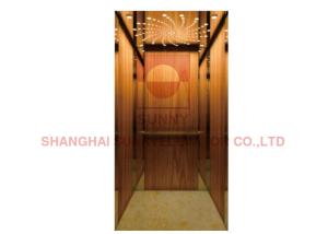 Wholesale 0.4m/S Single Door Knife Home Elevator Lift Smaller Installation Space from china suppliers