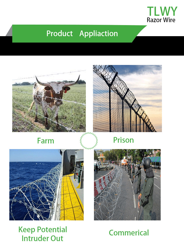 Anti Alkali Military Security Barbed Wire Fencing BWG 12x12