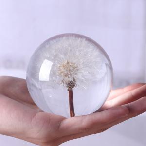 Wholesale Real dandelion in Clear resin ball flower resin ball ornament from china suppliers