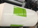 Web Paper/Woven Flexographic Printing Machine 300/900/1000/1200mm Max. Printing