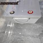 Soonest Gel Battery 12V 100Ah 6Mf9 -Battery 12V 200Ah Gel Battery For Solar
