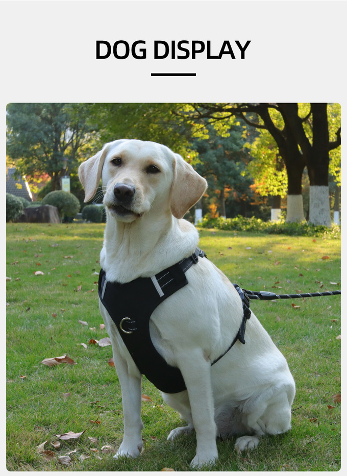 Pet Anti breakaway Harness Reflective Multifunctional Anti Lost Harness For Large Dog