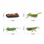 4 PCS Realistic Insect Locust Animal Life Cycle Model Figure Cake Toppers