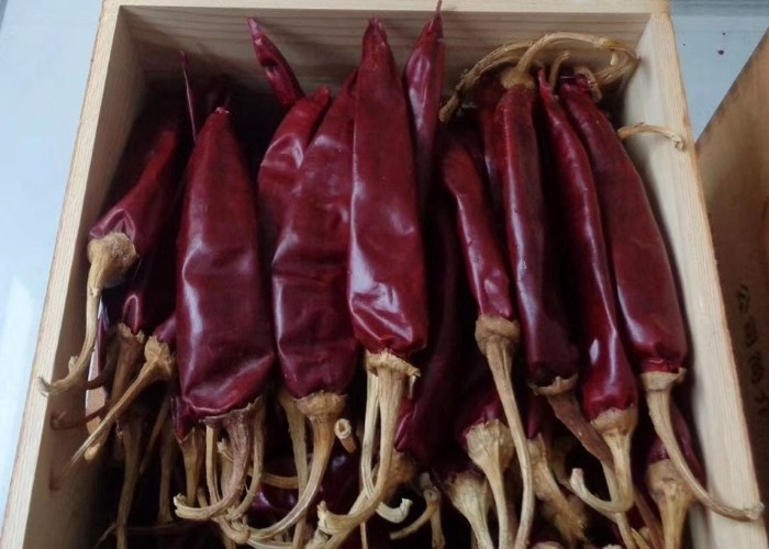 AD Dry Chile Guajillo Pepper Spicy Single Herbs Sweet Paprika With Stem