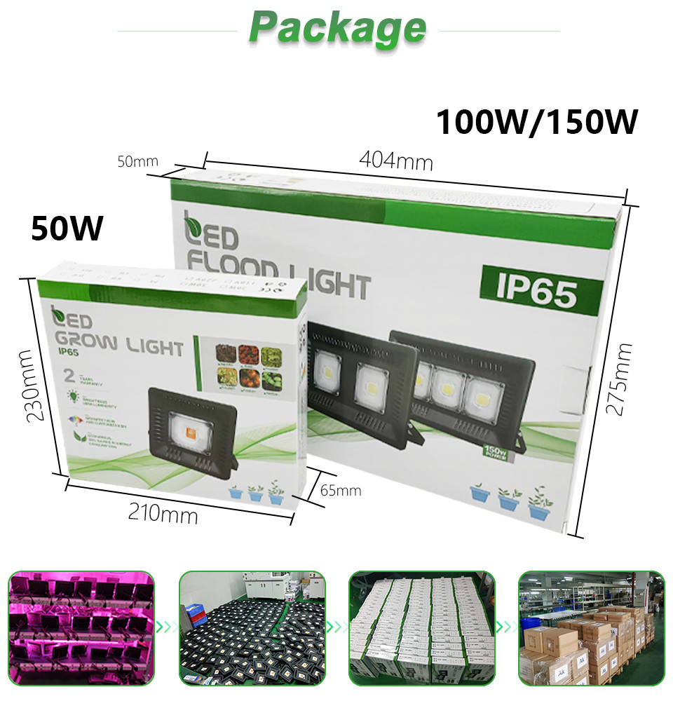 AC 110V LED Cob Grow Lights Module For Hydroponic Outdoor Greenhouse
