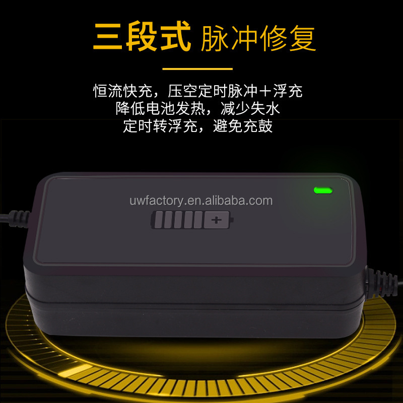 PC Fireproof Material 12v 24v 36v 48v 6a 8a 10a 12a 15a 20a Smart Repair Charger Generation Digital Display Battery Charger