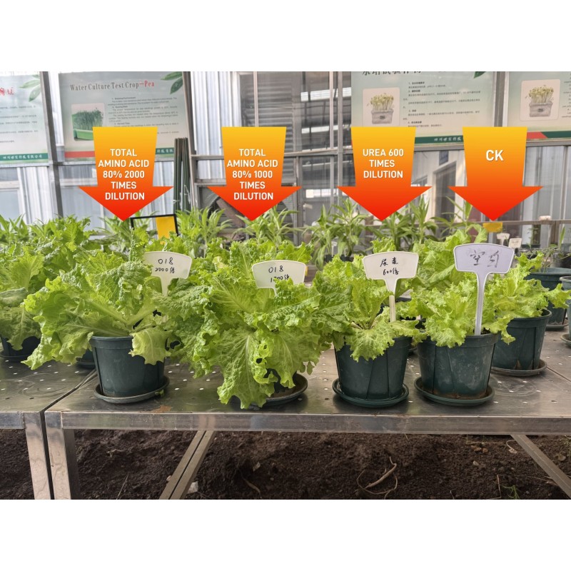 Cod Fish Protein Based Fish Meal Fertilizer with 80 Percent Amino Acids and Balanced Nutrients for Sustainable Agricultural Fertilizer