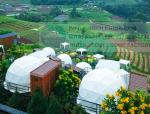 Galvanized Steel Frame Geodesic Dome Structure Campsite Recreation Facilities