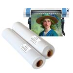 Matte Pure Cotton Canvas Roll Ready For Oil Painting