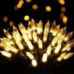 Christmas Lights Indoor Outdoor Mini Halloween String Light 120V Certified Green