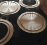 Ring Type Alloy Steel Forged Flanges DIN 150 Weld Neck Pipe Plate Flange