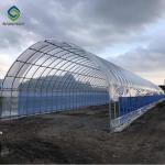 33ft Pe Film Skeleton Dustproof Single Tunnel Greenhouse