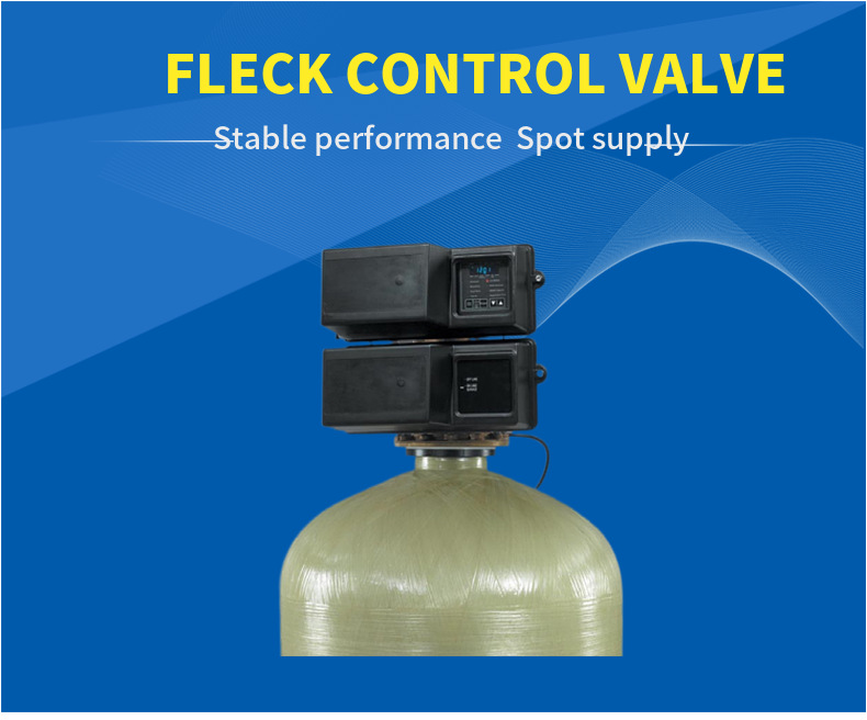 Fleck Valve 
