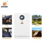 Wall Mounted Home Energy Storage Battery 51.2V 200ah 10.24kwh Lithium Ion
