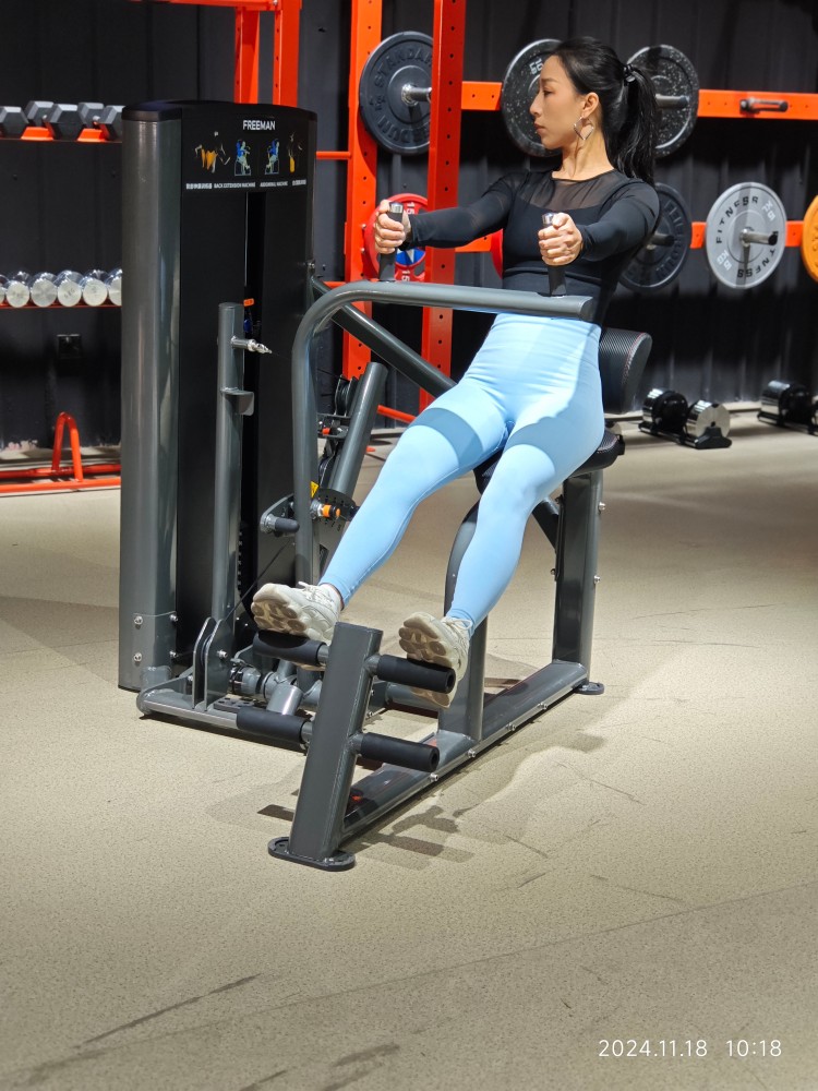 Dual Functional Strength Equipment Back Extension/Abdominal Leg Press Machine Commercial Fitness Gym Pin Loaded Machine