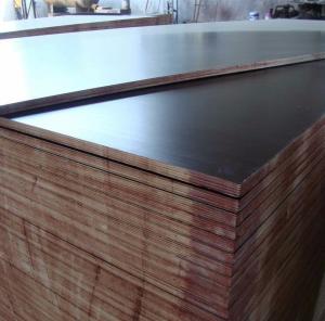 Wholesale Thailand market black film faced plywood faced shuttering plywood with hot press one time from china suppliers
