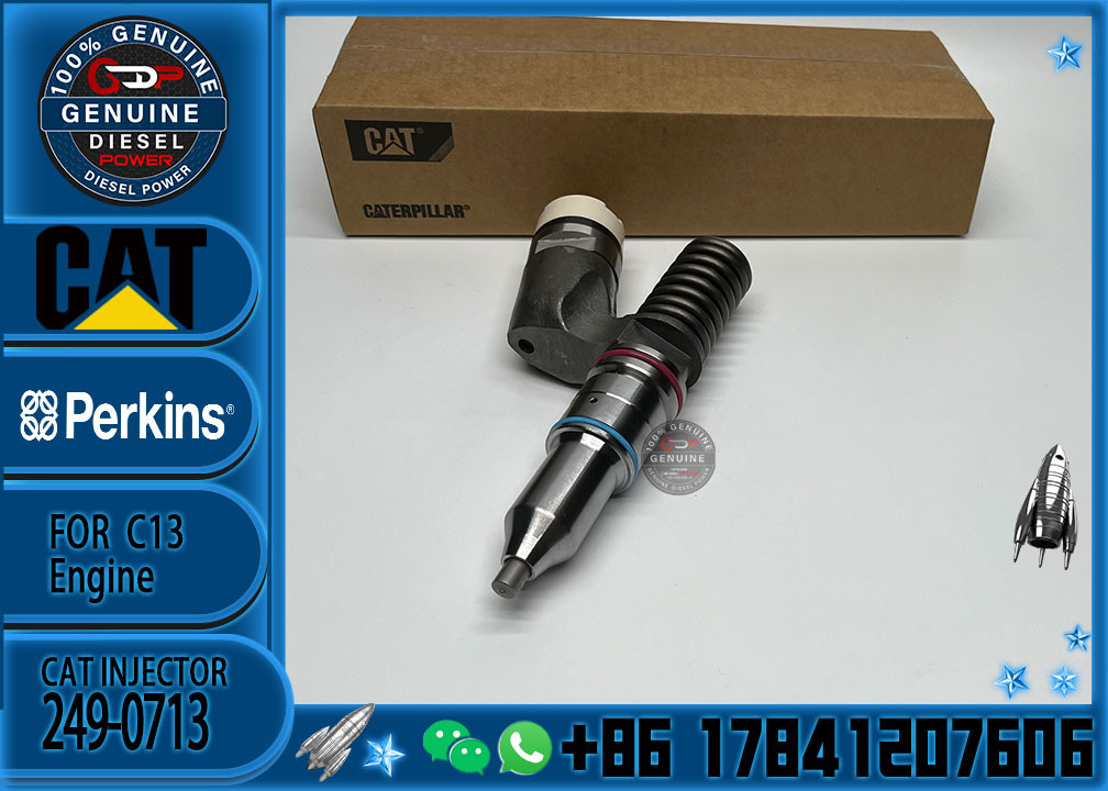 2490713 249-0713 10R-3262 10R3262 for CAT E345C 345D C11 C13 Excavator common rail diesel fuel injector C11 C13 Engine I
