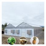 Automatic Agricultural Blackout Polycarbonate Light Deprivation Greenhouse