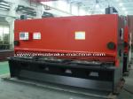 12mm Hydraulic Plate Shearing Machine Guillotine Sheet Metal Cutter