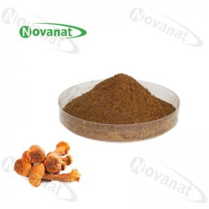 Wholesale agaricus blazei extract Herbal Extract Powder 40% Polysaccharides / Immunity Improving from china suppliers