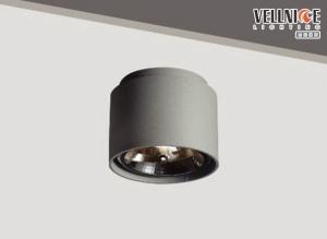 Wholesale Max 50Watt Pure Aluminum G53 circle surface mounted led downlight For Market from china suppliers