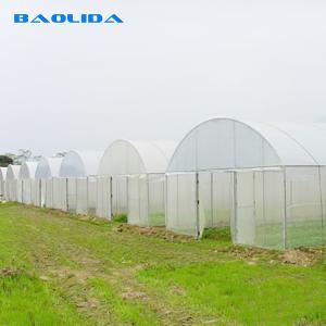 Wholesale 150mic PE Film Tunnel Plastic Greenhouse With Galvanized Steel Frame from china suppliers