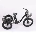 High Capacity Family Cargo Bike with Torque 80-90 Nm and Rear Carrier Battery