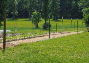 Wholesale Vineyard Studded Steel T Posts 1.33 Lb Per Foot For Fence from china suppliers