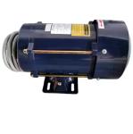 Bernet 0.75kW AC220V Single Phase Electric Motor for Fuel Dispenser
